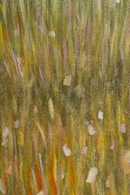 Icarus original oil painting by Tamar Sulakvelidze on fabric