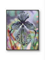 Spider and I by Pia Dehne Original Contemporary Oil Painting